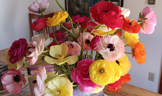 It's Hear! It's Time! The 2024 Flower Season