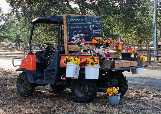 What's blooming on Hank this weekend?